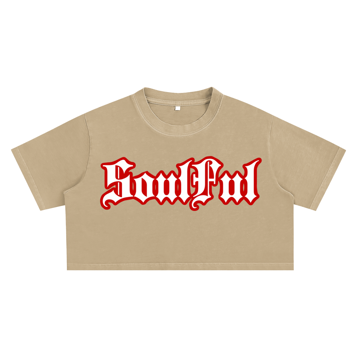 Soulful Snow Washed Crop Top