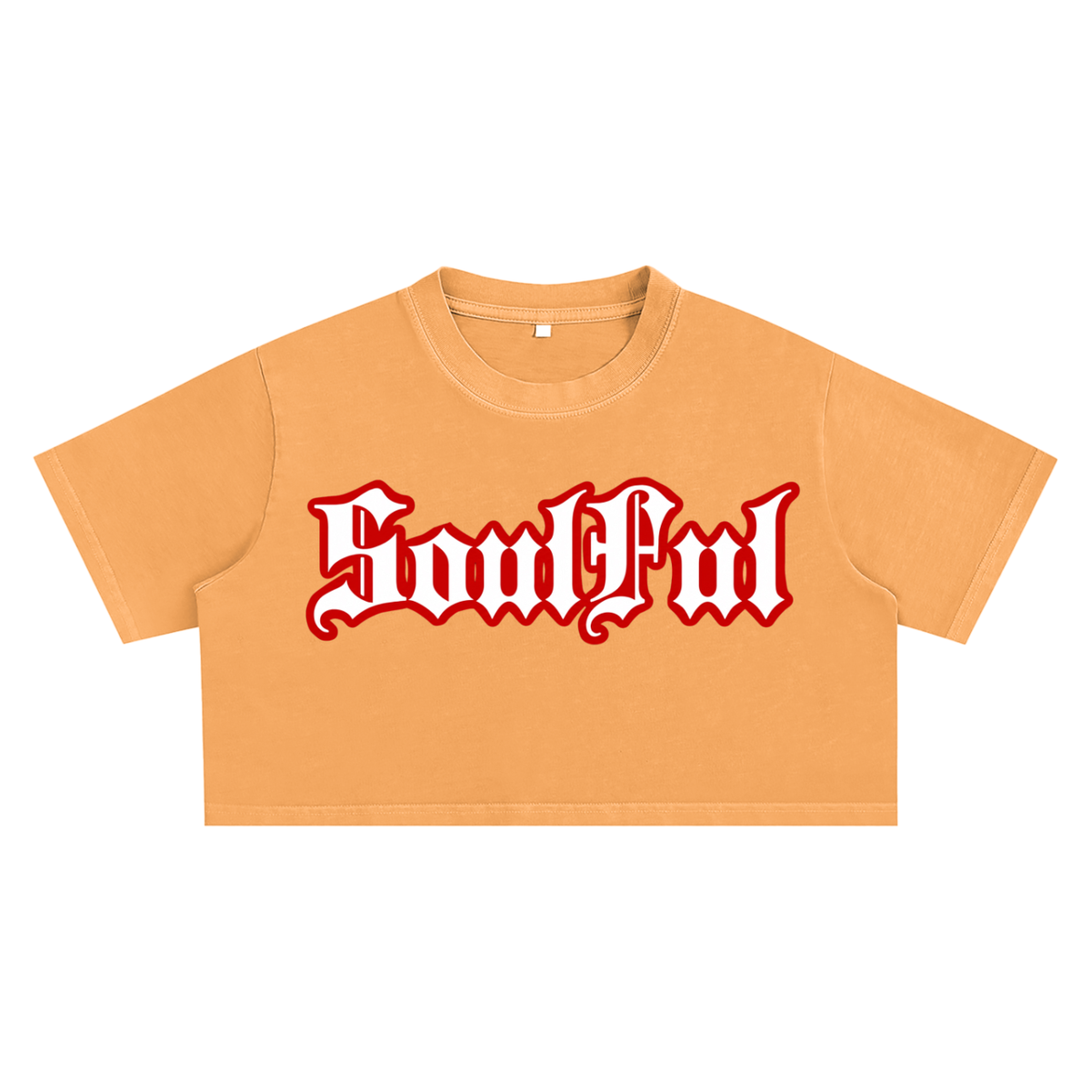 Soulful Snow Washed Crop Top