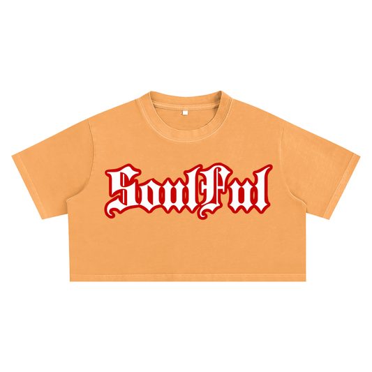 Soulful Snow Washed Crop Top