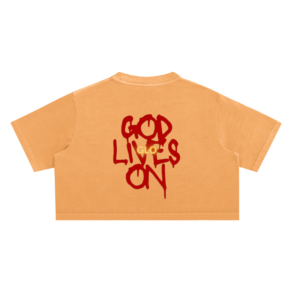 Streets Prayers Snow Washed Crop Top