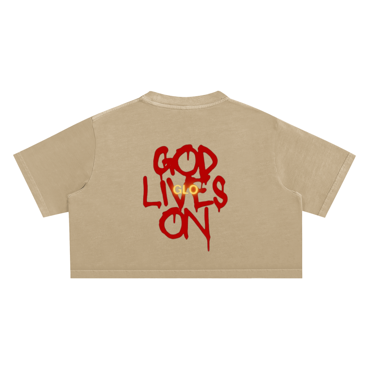 Streets Prayers Snow Washed Crop Top