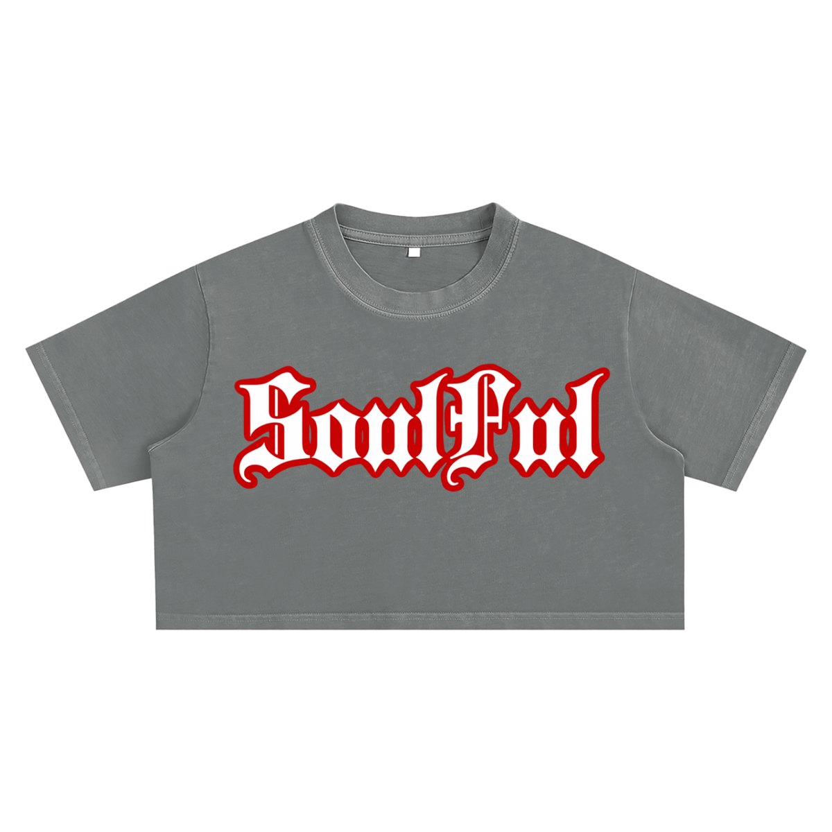 Soulful Snow Washed Crop Top
