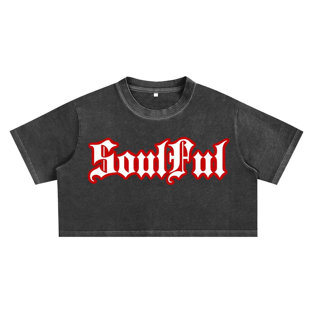Soulful Snow Washed Crop Top