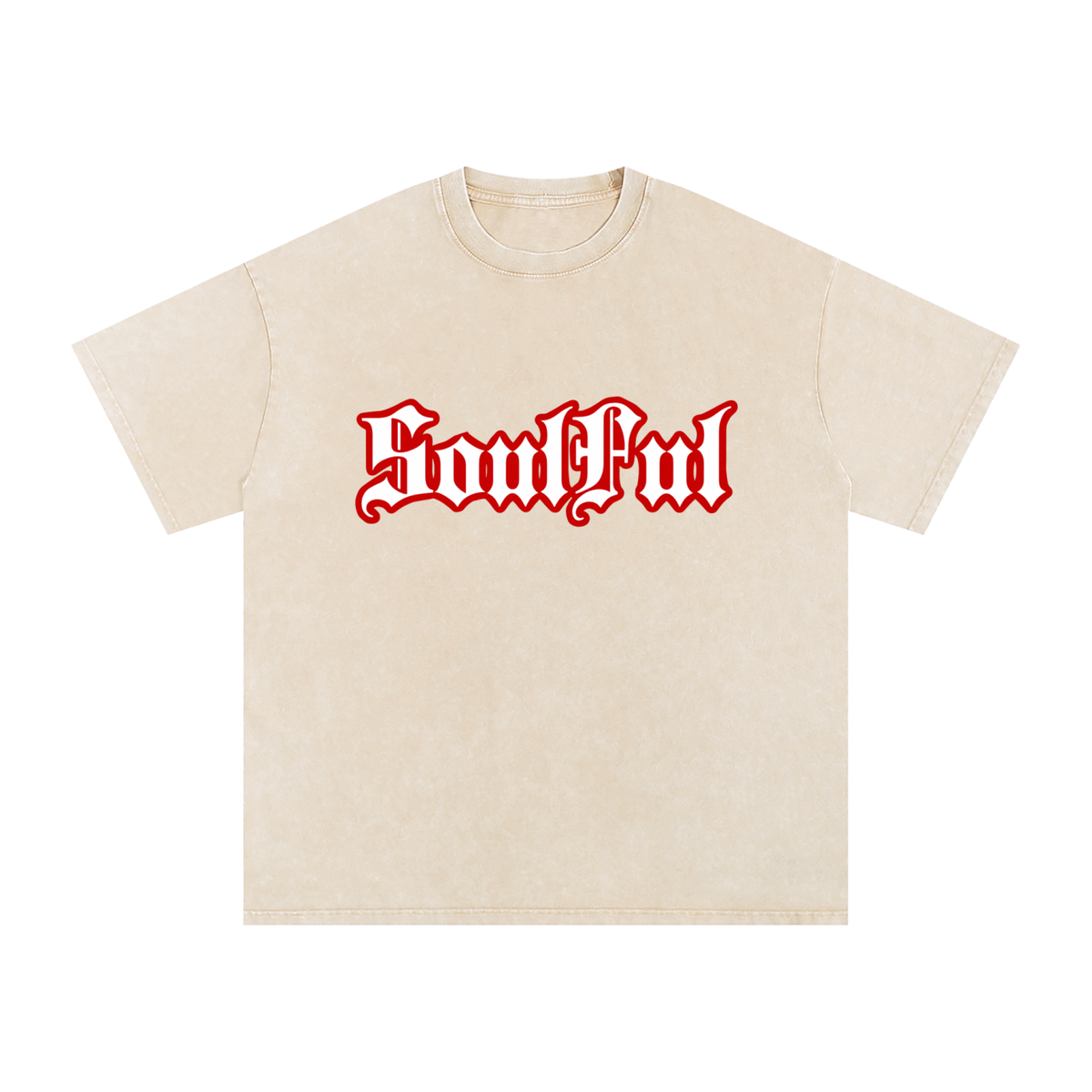 Soulful Snow Washed Oversized T-Shirt
