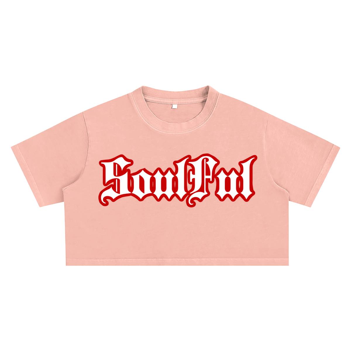 Soulful Snow Washed Crop Top